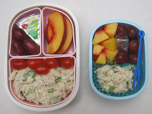 Chicken salad: mother/son bentos