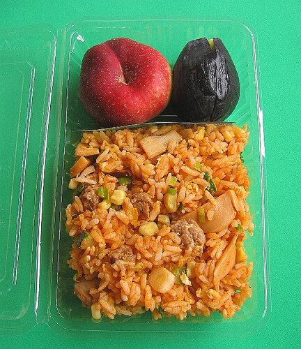 Disposable bento for airplane