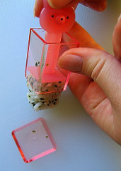 Rice cube press Rice cube press