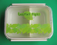 Leaflet bento box (500ml)