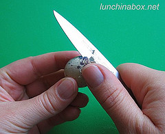 Cutting open a quail egg