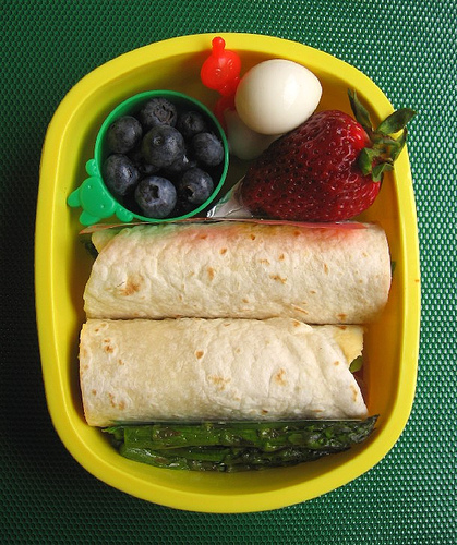 Lamb and hummus wrap lunches & egg slicer