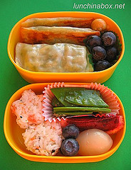 Rectangular mandoo bento lunch for preschooler