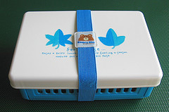 Collapsible sandwich case with elastic