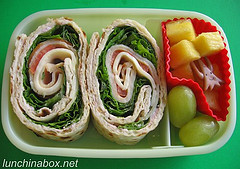 Turkey roll-up bento lunch for preschooler
