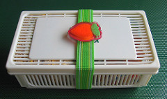 Sandwich case with elastic