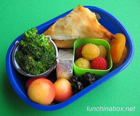 Colorful spanakopita bento lunch for preschooler