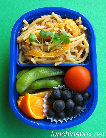 Pasta bento lunches