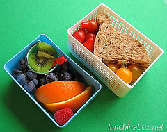 Sandwich and fruit lunch for preschooler