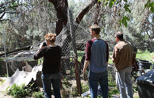 Elise, Garrett & Hank at rooster pen