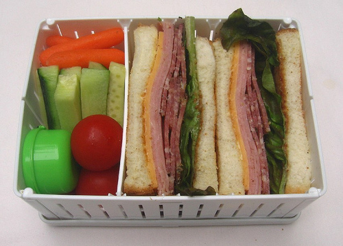 Collapsible sandwich case debut